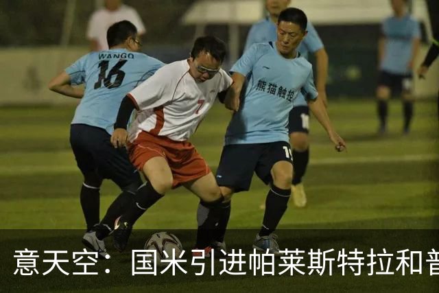 意天空：国米引进帕莱斯特拉和普罗维德尔遇阻，两人价格均超预期